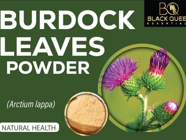 Burdock leaves powder