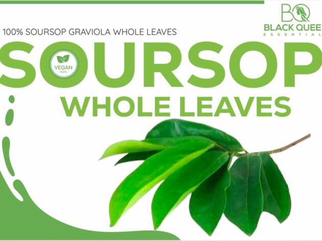 Soursop whole leaves