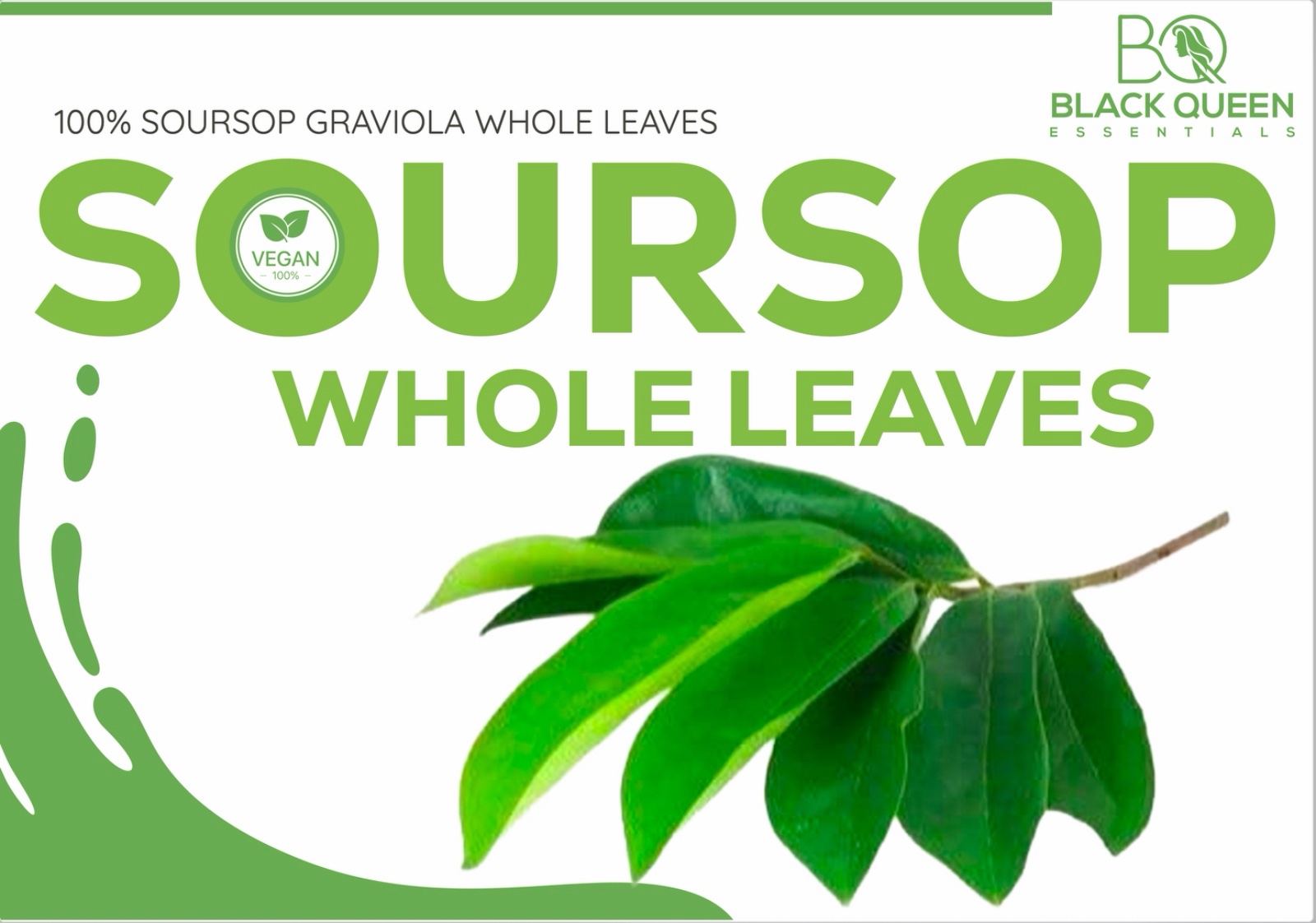 Soursop whole leaves