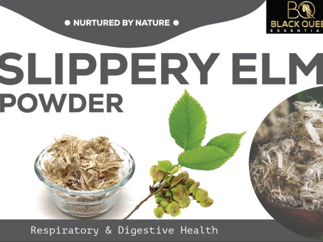 Slippery Elm