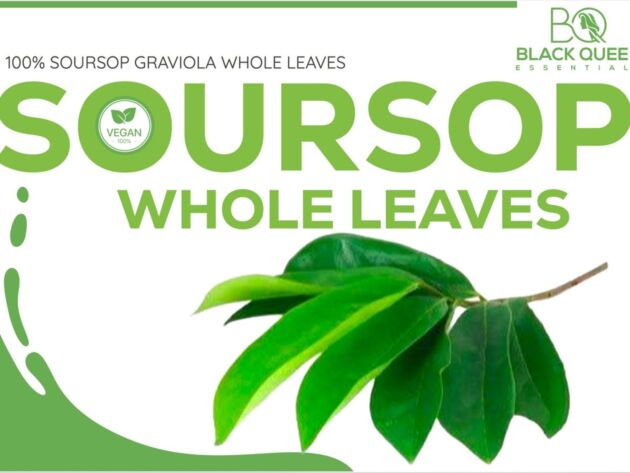 Soursop fruit powder